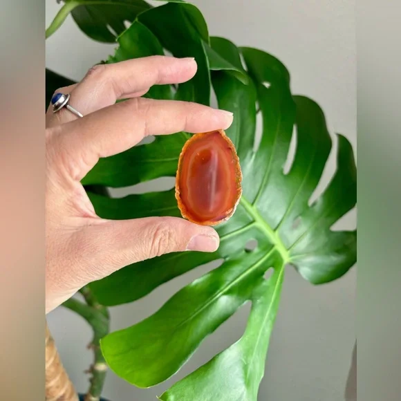 Agate Magnets (one) - Picture 4 of 7